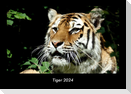 Tiger 2024 Fotokalender DIN A3