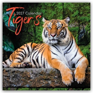 Gifted, The. Tigers - Tiger 2027 - 16-Monatskalender - Original The Gifted Stationery Co. Ltd [Mehrsprachig] [Kalender]. Browntrout Verlags GmbH, 2026.