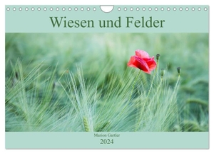 Gartler, Marion. Wiesen und Felder (Wandkalender 2024 DIN A4 quer), CALVENDO Monatskalender - Stimmungsvolle Bilder aus der Natur. Calvendo, 2023.