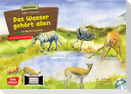 Das Wasser gehört allen. Ein Märchen aus Afrika, m. Audio-CD. Kamishibai Bildkartenset.