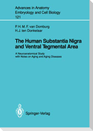 The Human Substantia Nigra and Ventral Tegmental Area