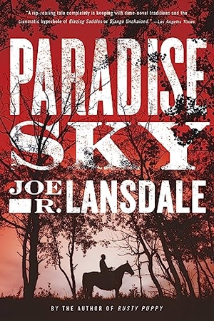 Lansdale, Joe R. Paradise Sky. Hachette Book Group USA, 2017.