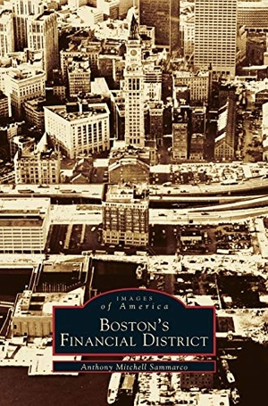 Sammarco, Anthony Mitchell. Boston's Financial District. Arcadia Publishing Library Editions, 2002.
