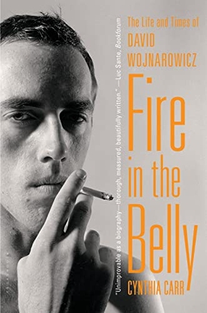Carr, Cynthia. Fire in the Belly - The Life and Times of David Wojnarowicz. Bloomsbury USA, 2013.