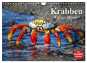 Krabben. Witzige Monster (Wandkalender 2024 DIN A4 quer), CALVENDO Monatskalender