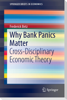 Why Bank Panics Matter