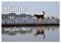 Hunde aus aller Welt (Tischkalender 2024 DIN A5 quer), CALVENDO Monatskalender