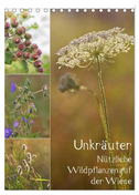 Unkräuter - Nützliche Wildpflanzen auf der Wiese (Tischkalender 2024 DIN A5 hoch), CALVENDO Monatskalender