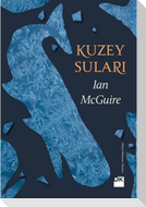Kuzey Sulari