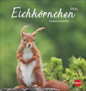Heye (Hrsg.). Eichhörnchen Postkartenkalender 2025 - Dekorativer Monats-Tischkalender zum Aufstellen oder Aufhängen. Fotokalender voll niedlicher Eichhörnchenbilder, als Postkarten zum Sammeln und Verschicken.. Heye, 2024.