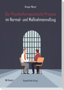 Der Psychotherapeutische Prozess im Normal- und Maßnahmenvollzug