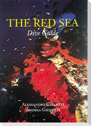 The Red Sea Dive Guide: 30 Postcards