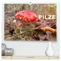 Pilze im Elfenwald (hochwertiger Premium Wandkalender 2024 DIN A2 quer), Kunstdruck in Hochglanz