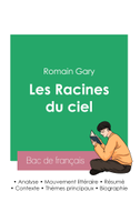 Réussir son Bac de français 2023: Analyse du roman Les Racines du ciel de Romain Gary