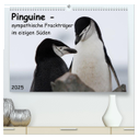 Pinguine - sympathische Frackträger im eisigen Süden (hochwertiger Premium Wandkalender 2025 DIN A2 quer), Kunstdruck in Hochglanz