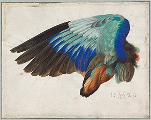 Ruskin, John. La reina del aire : un estudio sobre los mitos griegos de la nube y la tormenta. Pepitas de calabaza, 2017.