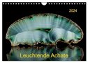 Leuchtende Achate (Wandkalender 2024 DIN A4 quer), CALVENDO Monatskalender