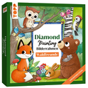 Diamond Painting Bilderrahmen
