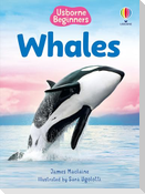 Beginners Whales