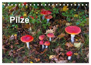 Bäsemann Diehl Helwig Pum Schulz, McPHOTO. Pilze (Tischkalender 2024 DIN A5 quer), CALVENDO Monatskalender - Eine Auswahl fotogener Pilze. Calvendo Verlag, 2023.