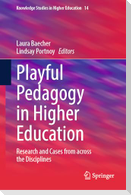 Playful Pedagogy in Higher Education