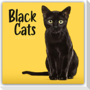 Black Cats - Schwarze Katzen 2027 - Wand-Kalender