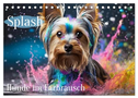 Splash - Hunde im Farbrausch (Tischkalender 2025 DIN A5 quer), CALVENDO Monatskalender