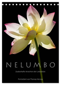 N E L U M B O ¿ Zauberhafte Ansichten der Lotosblüte (Tischkalender 2024 DIN A5 hoch), CALVENDO Monatskalender