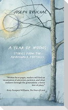 A Year of Moons