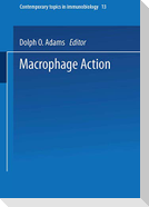 Macrophage Activation