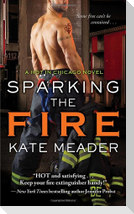 Sparking the Fire