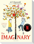 The Imaginary