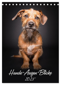 Hunde-Augen-Blicke (Tischkalender 2025 DIN A5 hoch), CALVENDO Monatskalender