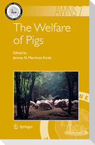 The Welfare of Pigs