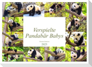 Pandabär Babys (Wandkalender 2025 DIN A3 quer), CALVENDO Monatskalender