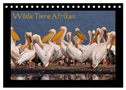 Wilde Tiere Afrikas (Tischkalender 2025 DIN A5 quer), CALVENDO Monatskalender