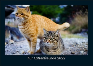 Tobias Becker. Für Katzenfreunde 2022 Fotokalender DIN A5 - Monatskalender mit Bild-Motiven von Haustieren, Bauernhof, wilden Tieren und Raubtieren. Vero Kalender, 2022.