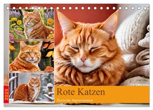 Lehmann, Steffani. Rote Katzen (Tischkalender 2025 DIN A5 quer), CALVENDO Monatskalender - 12 abwechslungsreiche Fotos von rot getigerten Katzen.. Calvendo, 2024.