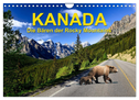 KANADA - Die Bären der Rocky Mountains (Wandkalender 2024 DIN A4 quer), CALVENDO Monatskalender