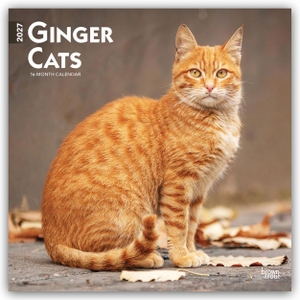 Publishers, Browntrout. Ginger Cats - Gingerkatzen - Rote Katzen 2027 - 16-Monatskalender - Original BrownTrout-Kalender [Mehrsprachig] [Kalender]. Browntrout Verlags GmbH, 2026.