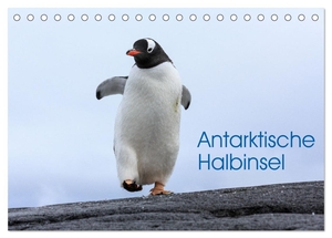 Oberholzer, David. Antarktische Halbinsel (Tischkalender 2024 DIN A5 quer), CALVENDO Monatskalender - Tier- und Lanschaftsaufnahmen von der Antarktischen Halbinsel. Calvendo, 2023.