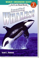 Amazing Whales!