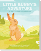 Little Bunny's Adventure