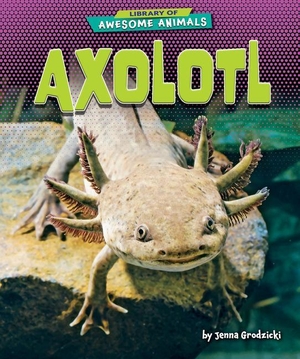 Grodzicki, Jenna. Axolotl. Bearport Publishing by Flutterbee, 2023.