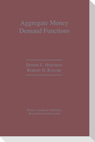 Aggregate Money Demand Functions