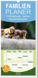 Familienplaner 2024 - Chihuahuas - kleine Herzensbrecher mit 5 Spalten (Wandkalender, 21 x 45 cm) CALVENDO