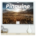 Pinguine - Die sympathischen Frack-Träger (hochwertiger Premium Wandkalender 2024 DIN A2 quer), Kunstdruck in Hochglanz