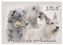 Französische Hirtenhunde 2025 (Tischkalender 2025 DIN A5 quer), CALVENDO Monatskalender
