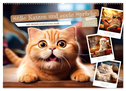 Süße Katzen und coole Sprüche (Wandkalender 2025 DIN A2 quer), CALVENDO Monatskalender