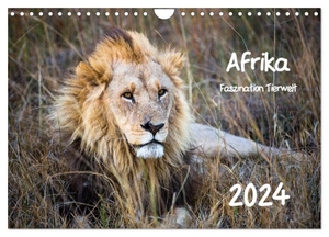 Bentlage, Horst. Afrika - Faszination Tierwelt (Wandkalender 2024 DIN A4 quer), CALVENDO Monatskalender - Afrika - Faszination Tierwelt. Calvendo, 2023.